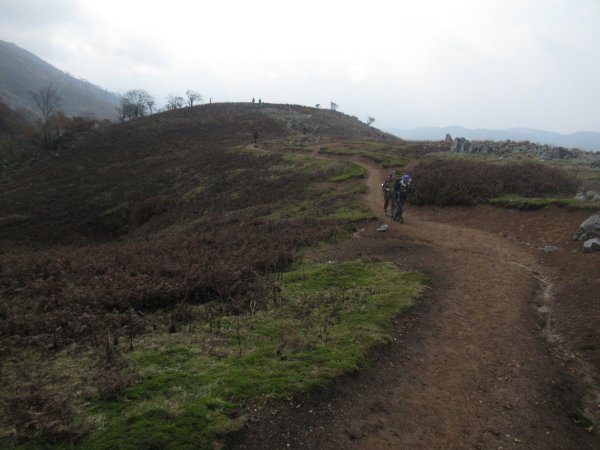 登山道